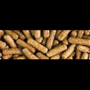 Saki-Hikari Turtle Pellet - Aquatic Supplies Australia