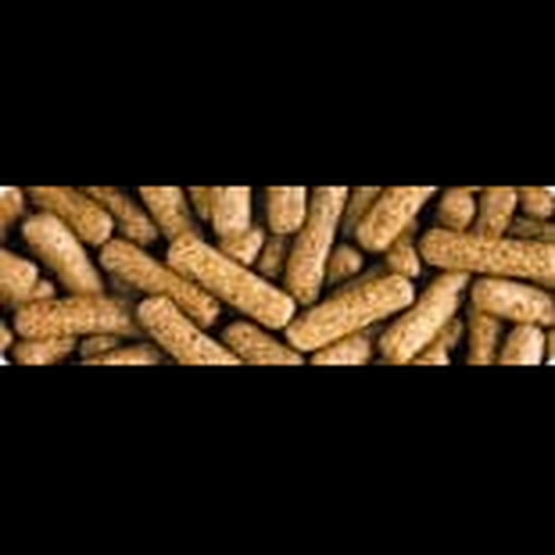 Saki-Hikari Turtle Pellet - Aquatic Supplies Australia