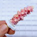 Seachem Coral Plugs 12 Pack - Aquatic Supplies Australia