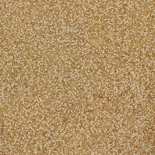 Seachem Cuprisorb - Aquatic Supplies Australia