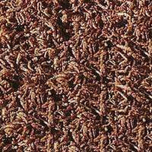 Sera FD Bloodworms Freeze Dried Treat 9g Aquatic Supplies Australia