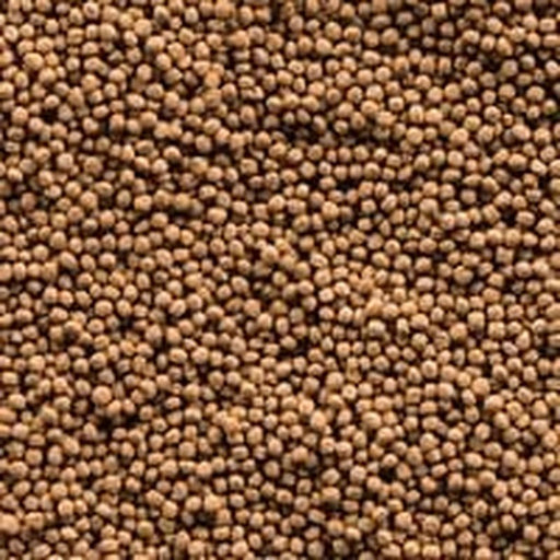 Sera Goldy Gran Nature 80g - Aquatic Supplies Australia