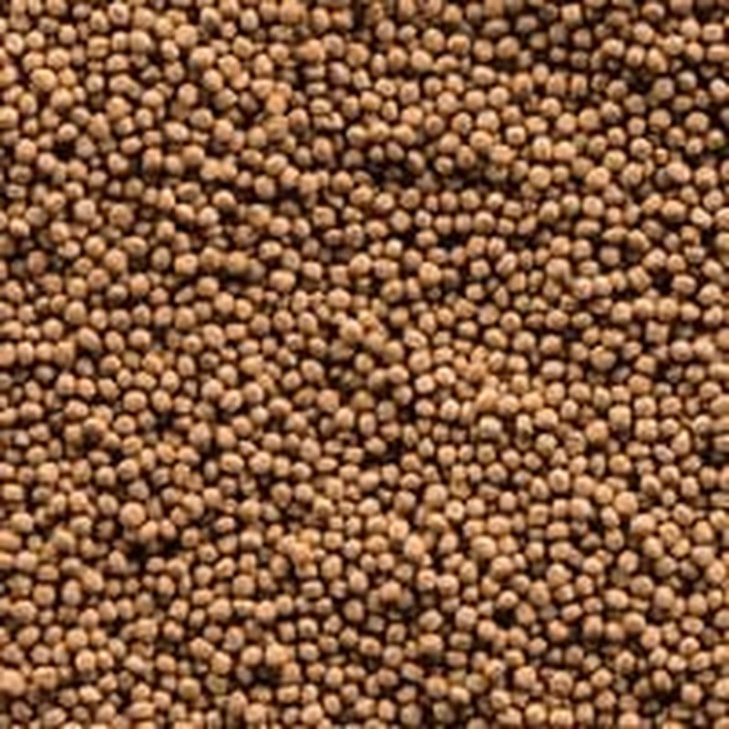Sera Goldy Gran Nature 80g - Aquatic Supplies Australia