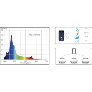 Spectra Aqua Sphere LED Aquarium Light MO31 Aquatic Supplies Australia