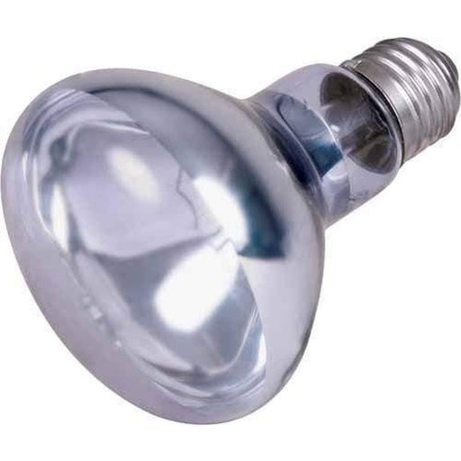 Trixie Neodymium Basking Spot Lamp - Aquatic Supplies Australia