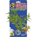 Zoo Med Betta Plant Maple Leaf - Aquatic Supplies Australia