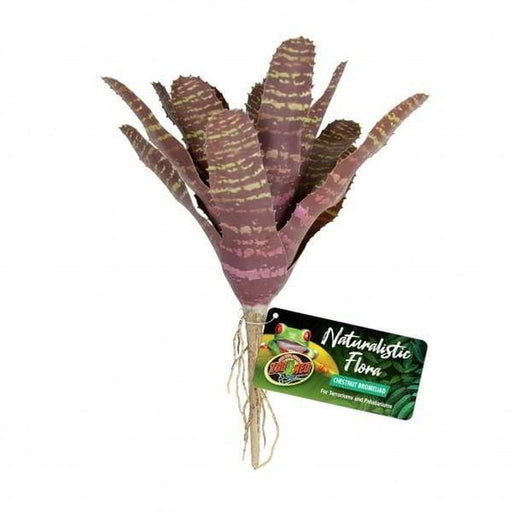 Zoo Med Chestnut Bromeliad - Aquatic Supplies Australia