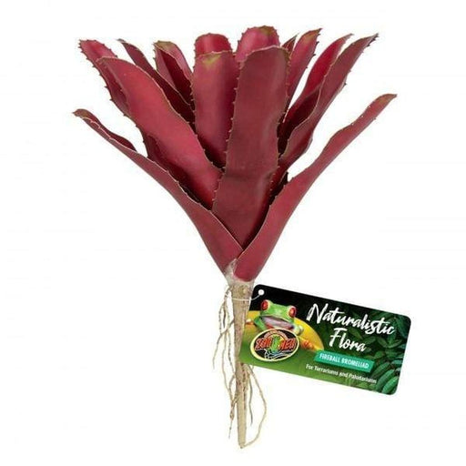 Zoo Med Fireball Bromeliad - Aquatic Supplies Australia