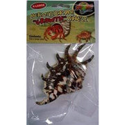Zoo Med Hermit Crab Growth Shell - Aquatic Supplies Australia