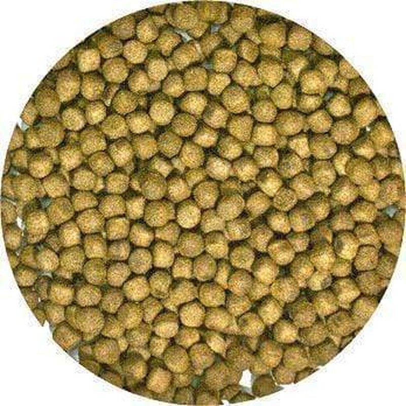 Zoo Med Natural Aquatic Turtle Food – Maintenance Formula - Aquatic Supplies Australia