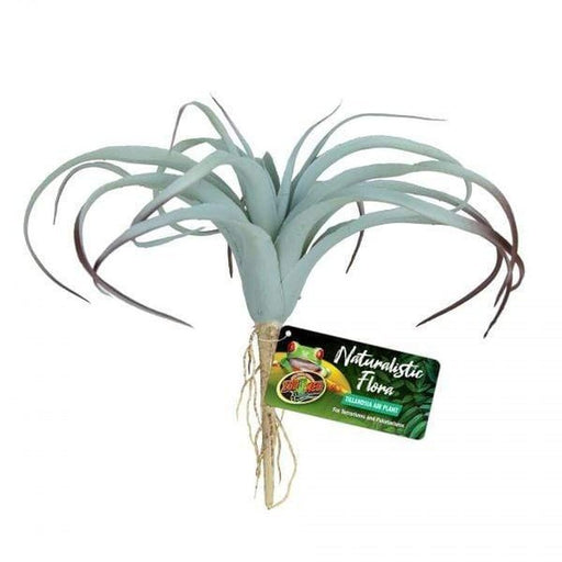 Zoo Med Tillandsia - Aquatic Supplies Australia