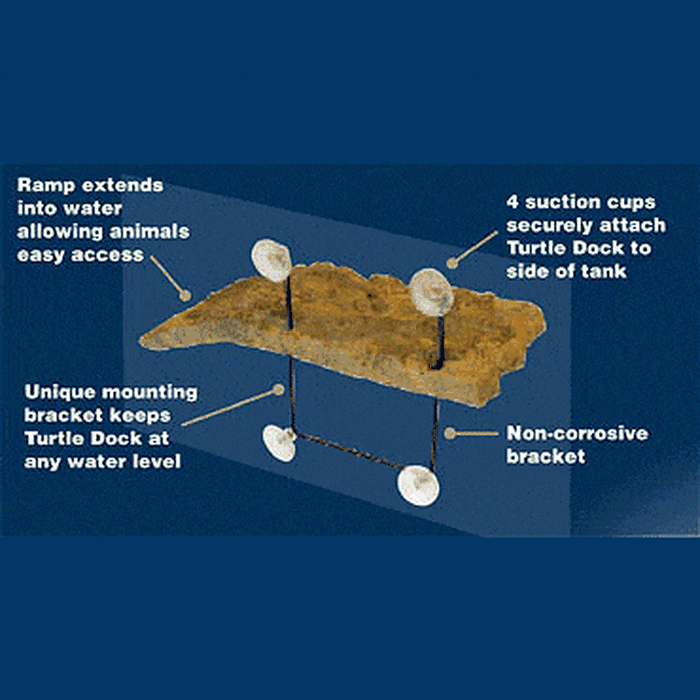 Zoo Med Turtle Dock Aquatic Supplies Australia
